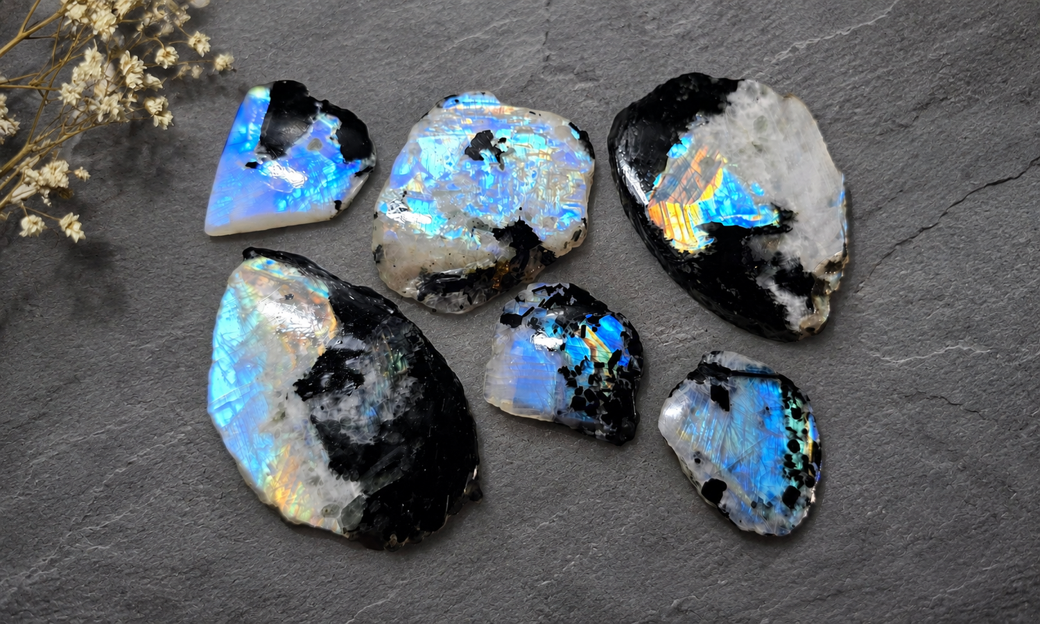 Rainbow Moonstone Slices w/Black Tourmaline