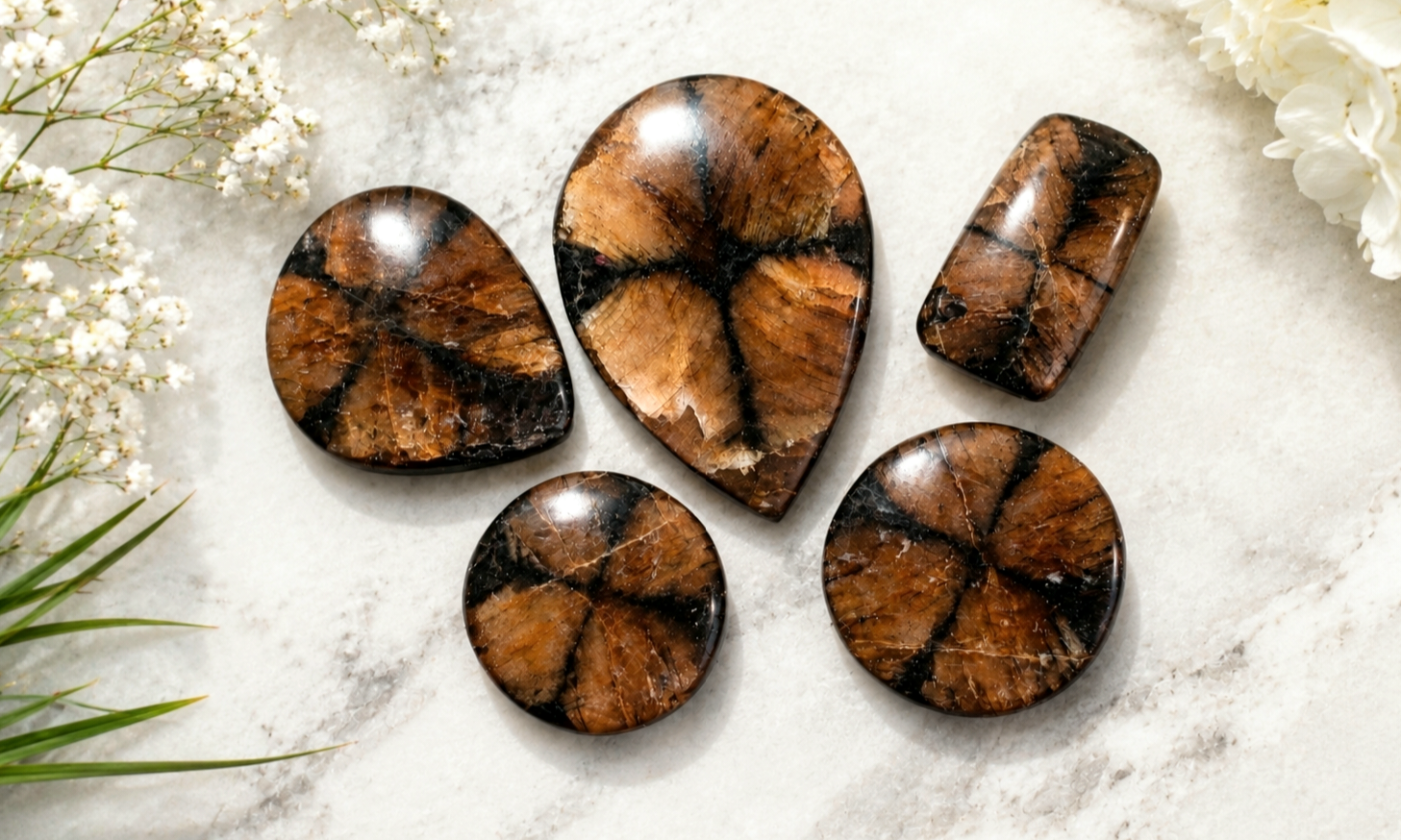 Chiastolite Cross Stone Cabochons