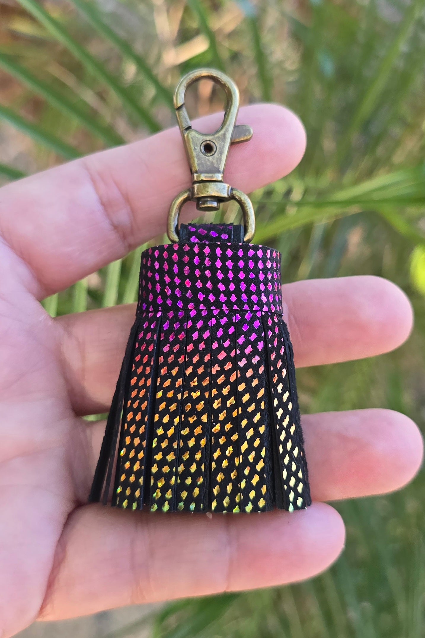 Metallic Rainbow and Black