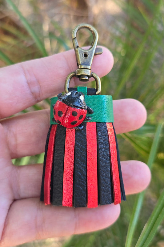 Leather LadyBug