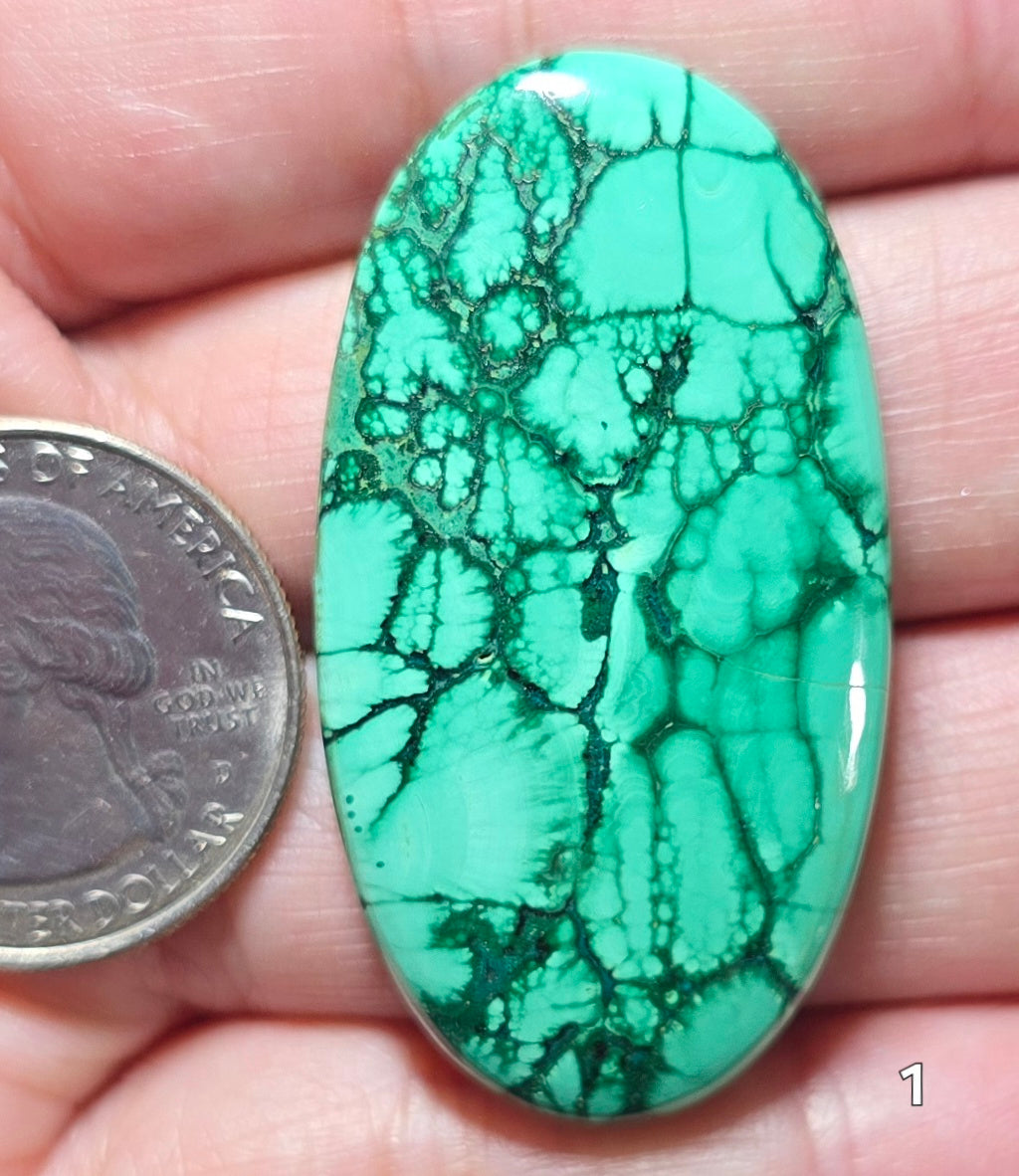 #1 Pulse Design Malachite