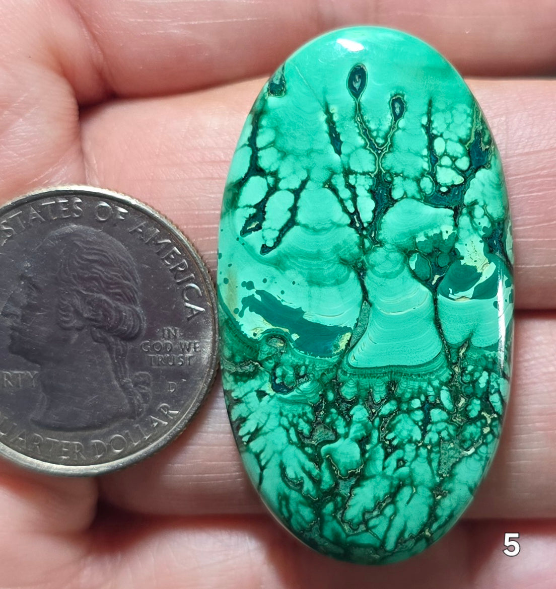 #5 Pulse Design Malachite