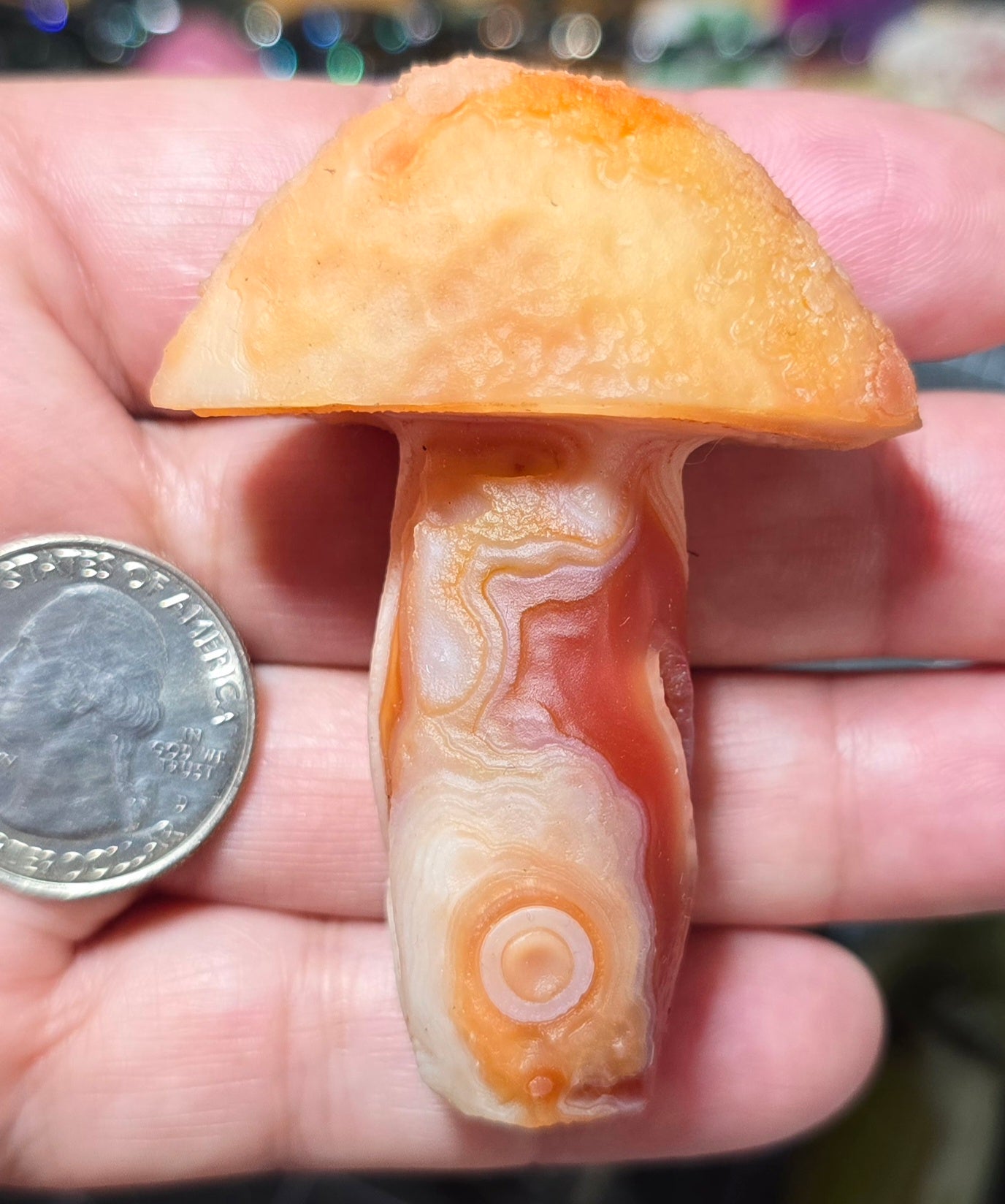 #2 Gobi Agate Mushroom