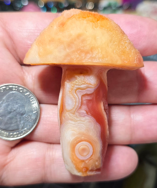 #2 Gobi Agate Mushroom