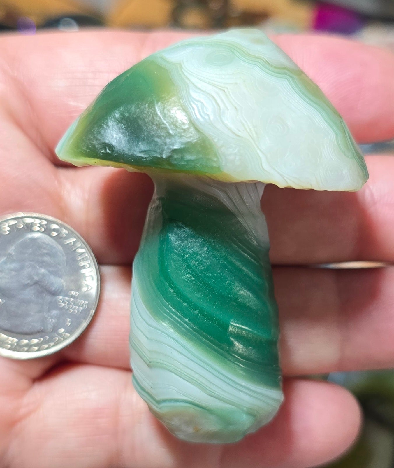 #3 Gobi Agate Mushroom