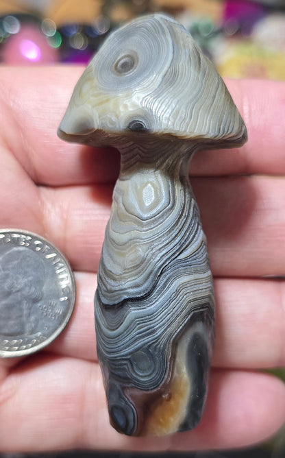 #4 Gobi Agate Mushroom