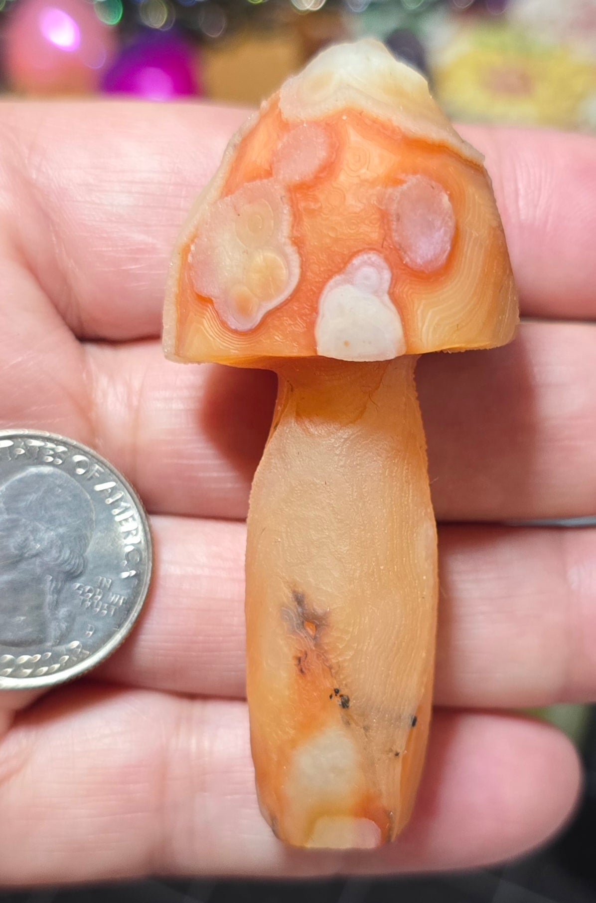 #5 Gobi Agate Mushroom