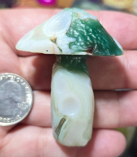#6 Gobi Agate Mushroom