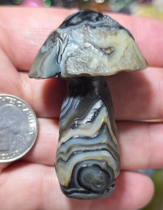 #7 Gobi Agate Mushroom