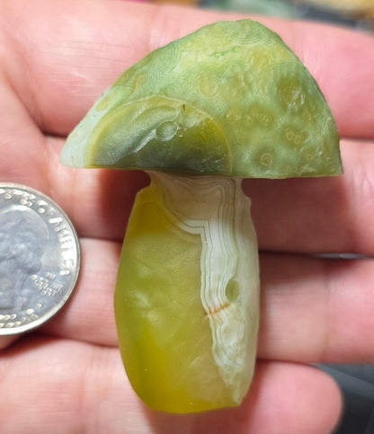 #8 Gobi Agate Mushroom