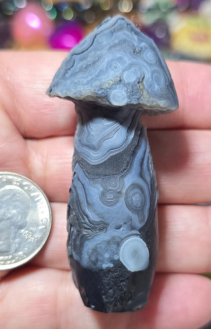 #9 Gobi Agate Mushroom