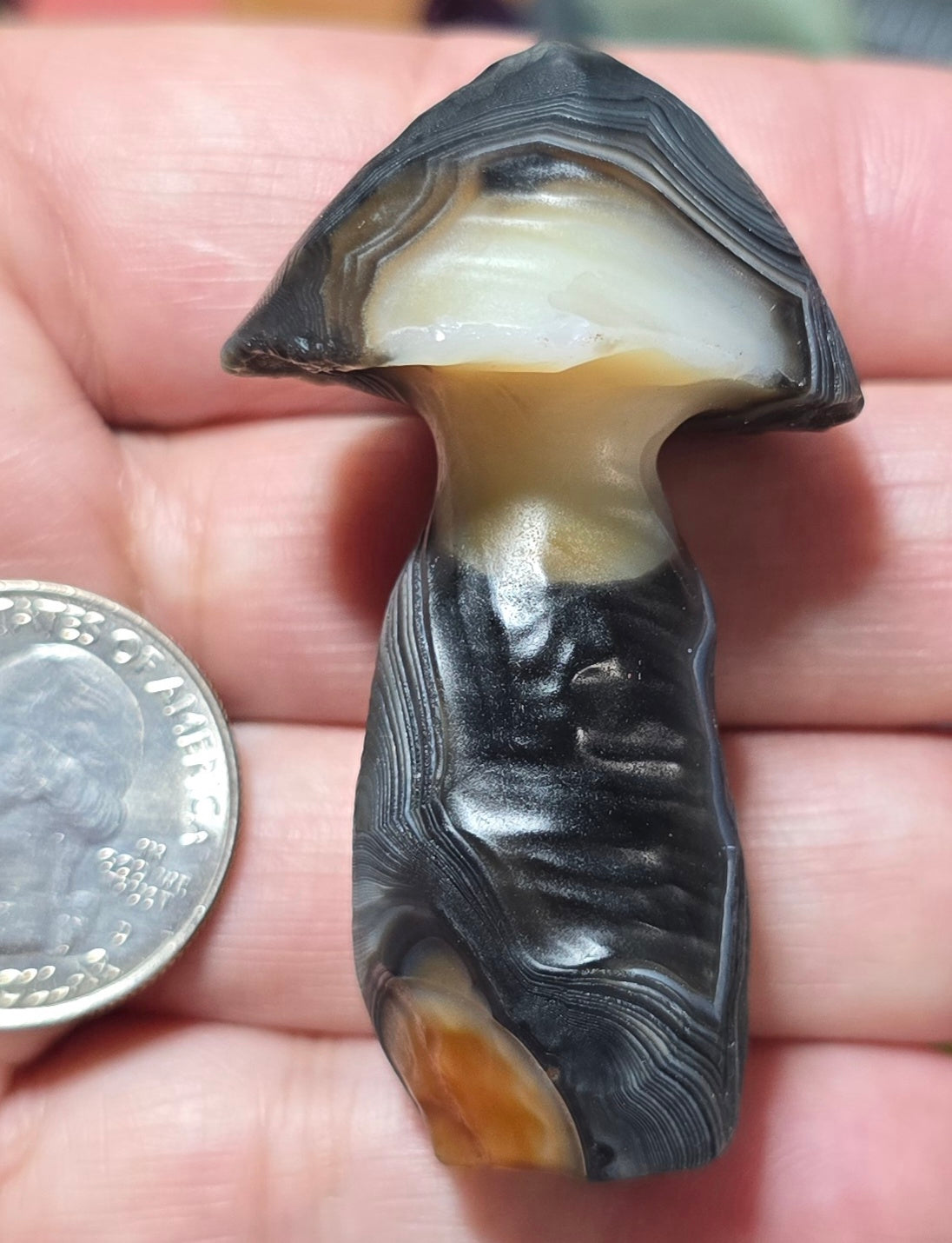 #10 Gobi Agate Mushroom