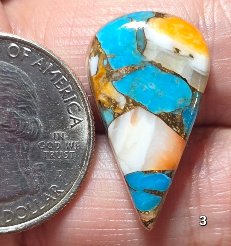 #3 Spiny Oyster Turquoise
