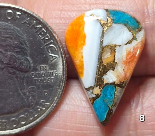 #8 Spiny Oyster Turquoise