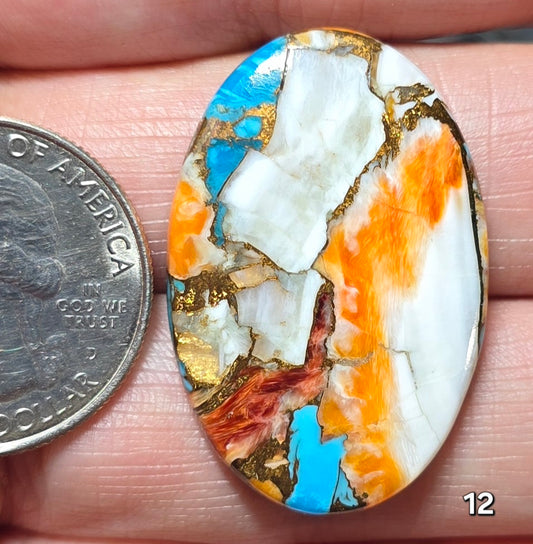 #12 Spiny Oyster Turquoise