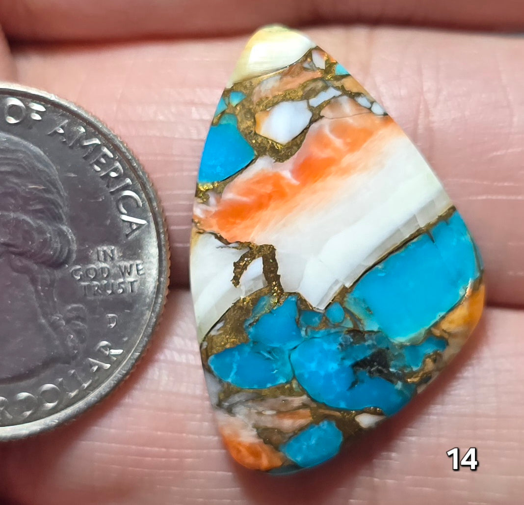 #14 Spiny Oyster Turquoise