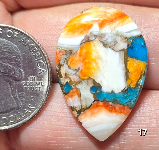 #17 Spiny Oyster Turquoise