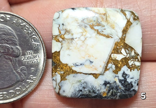 #5 White Buffalo Bronze