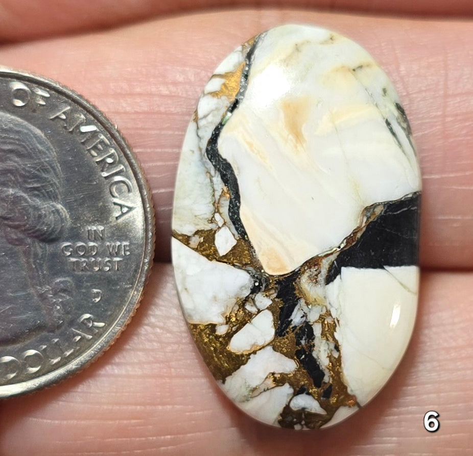 #6 White Buffalo Bronze