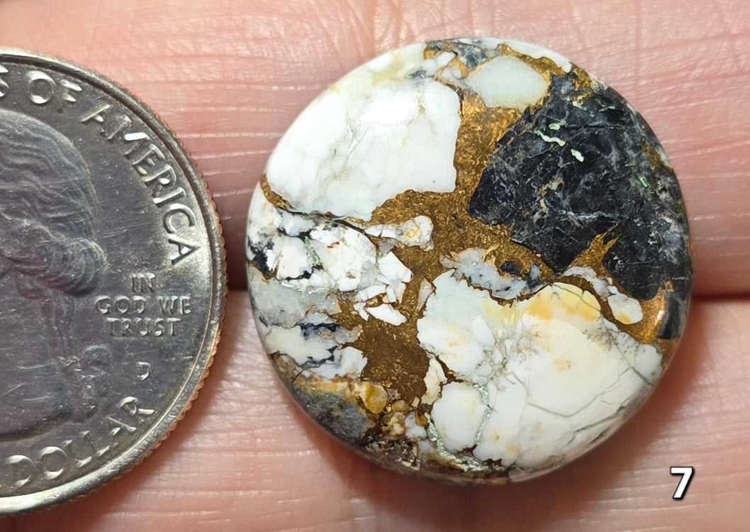 #7 White Buffalo Bronze