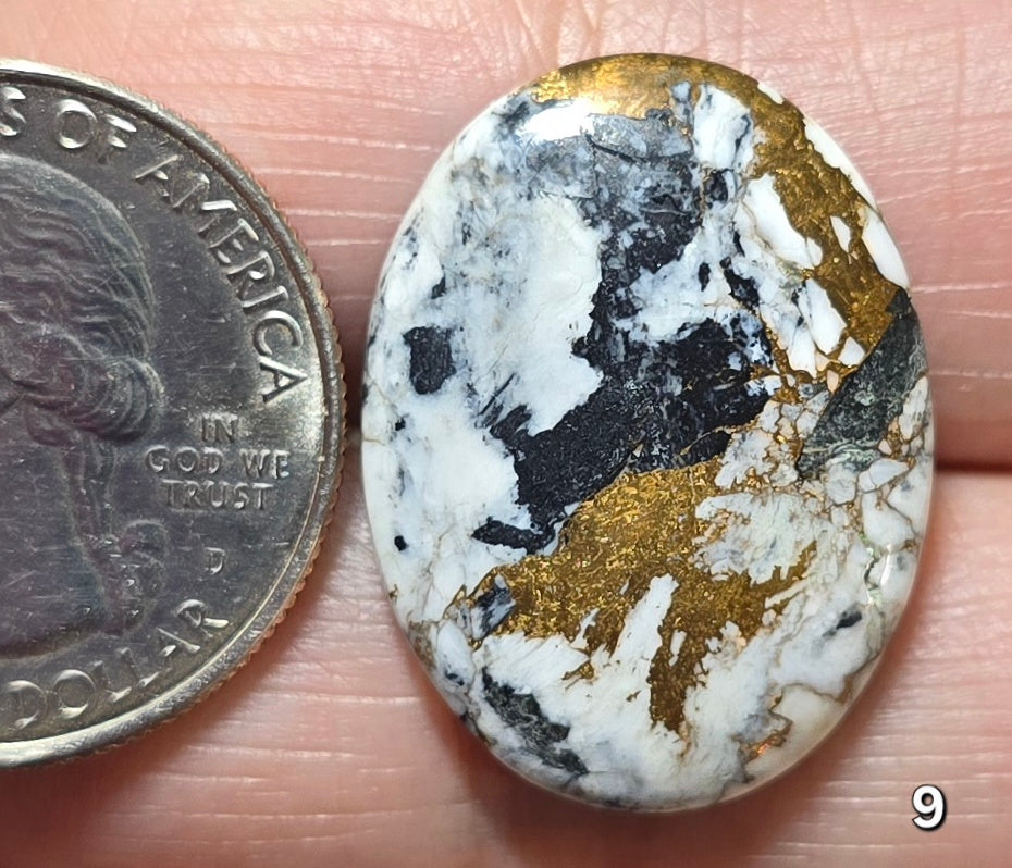 #9 White Buffalo Bronze