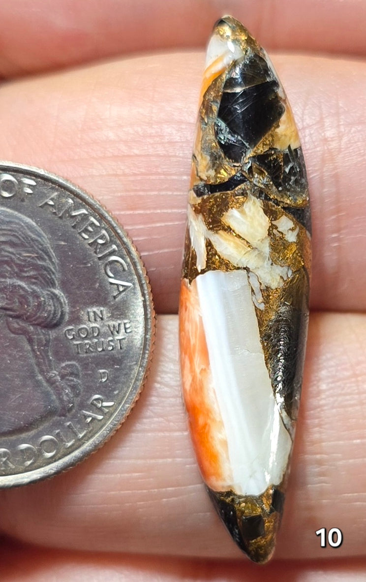 #10 White Buffalo Bronze