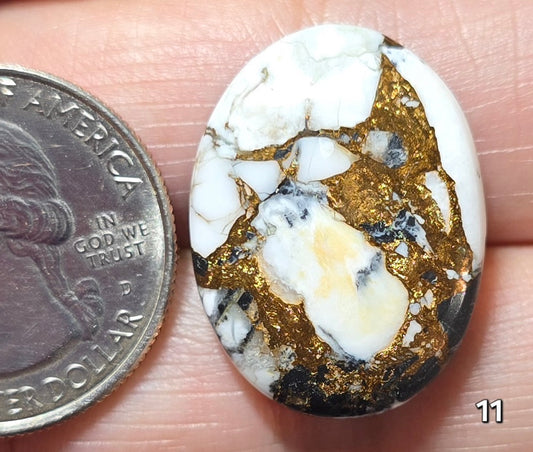 #11 White Buffalo Bronze