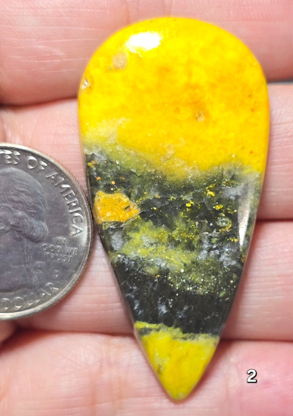 #2 Bumblebee Jasper