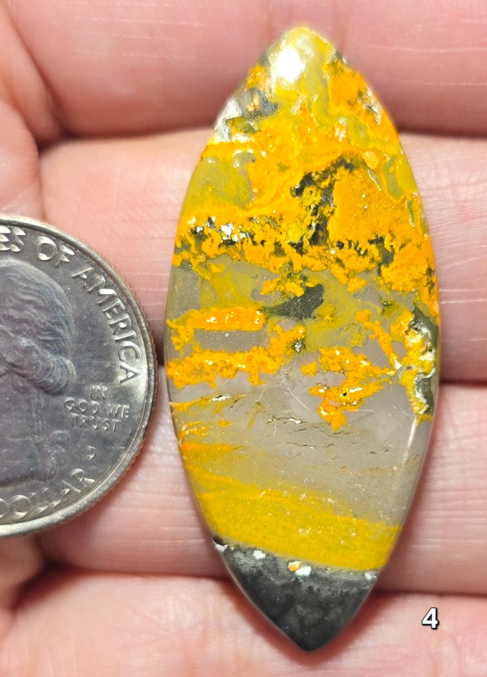 #4 Bumblebee Jasper