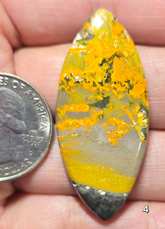 #4 Bumblebee Jasper