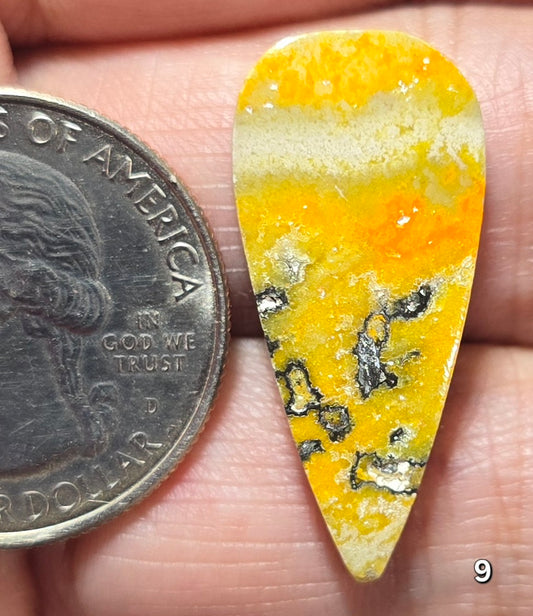 #9 Bumblebee Jasper