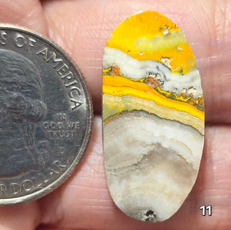 #11 Bumblebee Jasper