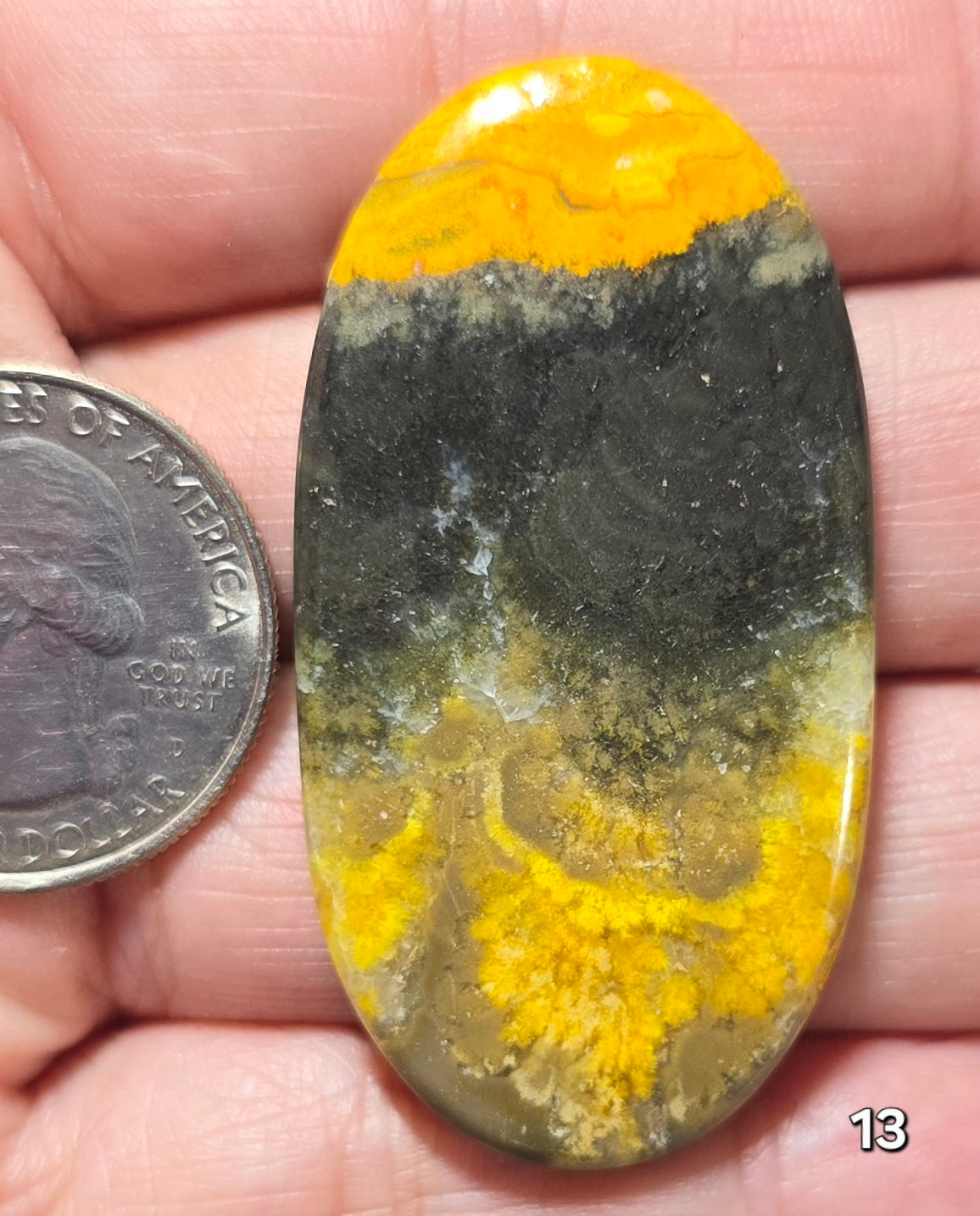 #13 Bumblebee Jasper