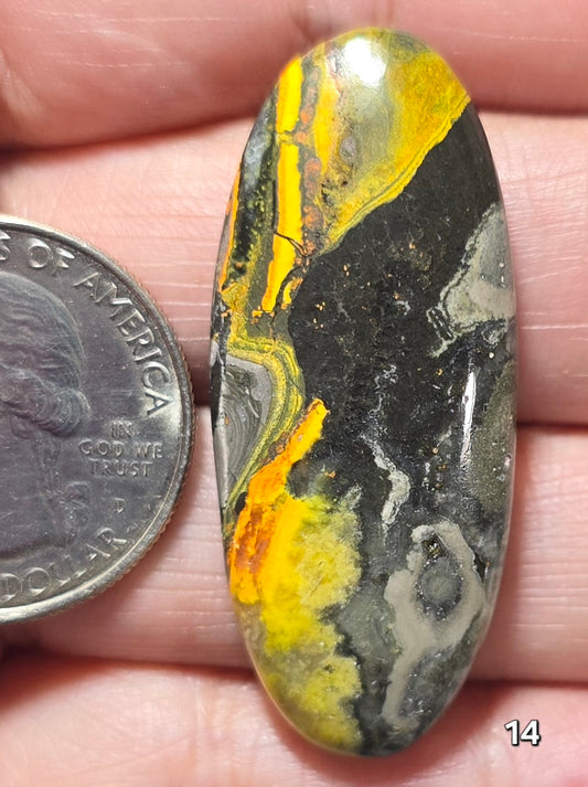 #14 Bumblebee Jasper