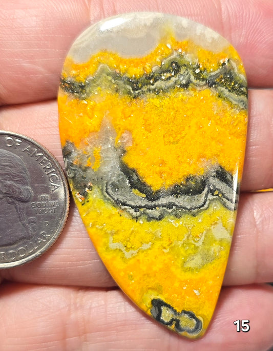 #15 Bumblebee Jasper