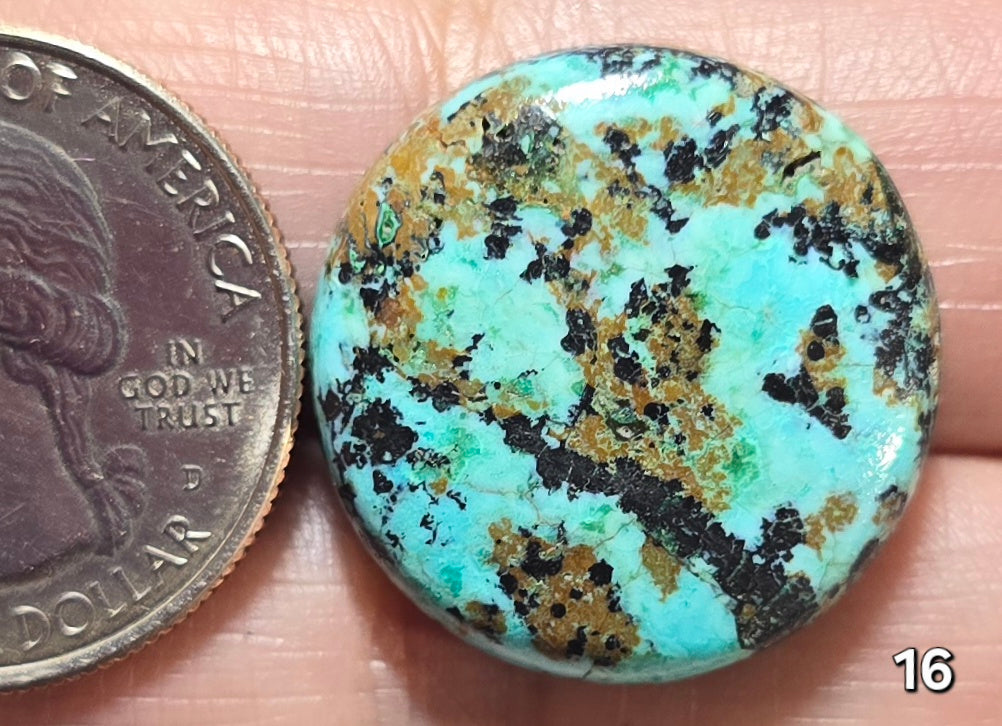 #16 Turquoise Chrysocolla