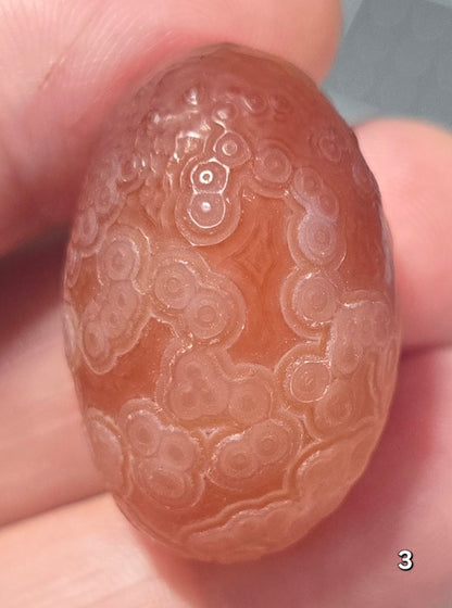 #3 Gobi Agate Palm Stone