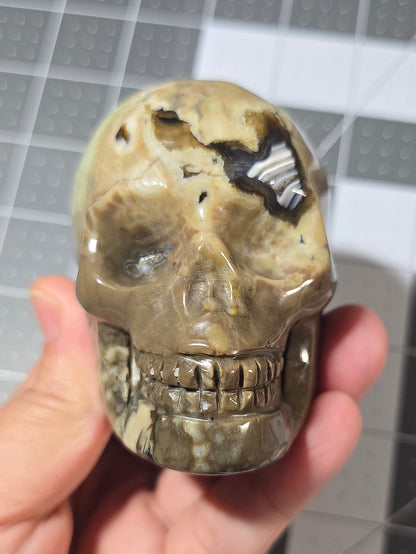 Volcanic Agate Skull