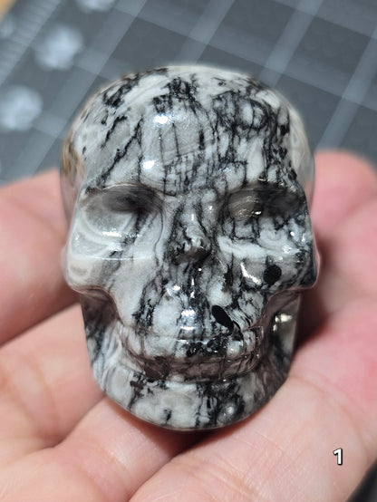 #1 Fossil Stone Skull