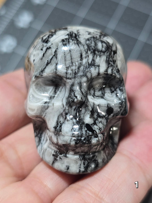 #1 Fossil Stone Skull
