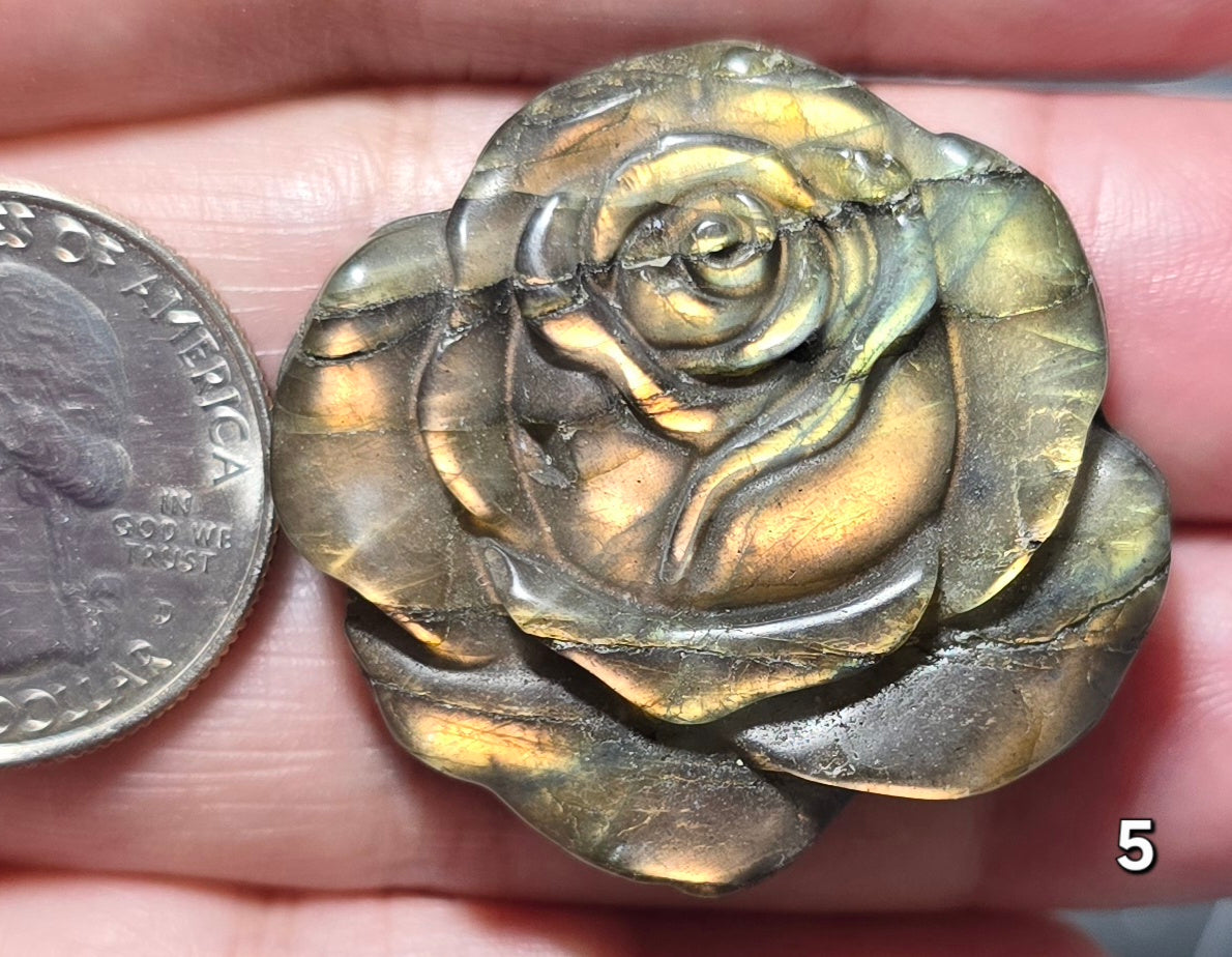 #5 Labradorite Rose