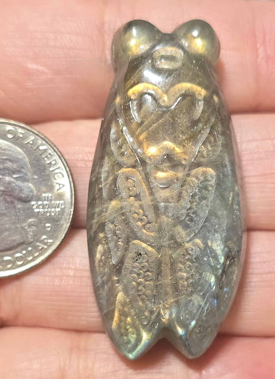 Labradorite Cicada