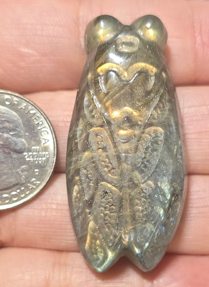 Labradorite Cicada