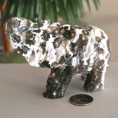 Rare Ocean Jasper Druzy Elephant Carving