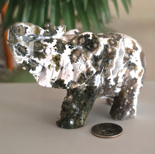Rare Ocean Jasper Druzy Elephant Carving