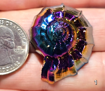 #1 Aura Coated Ammonite Fossil