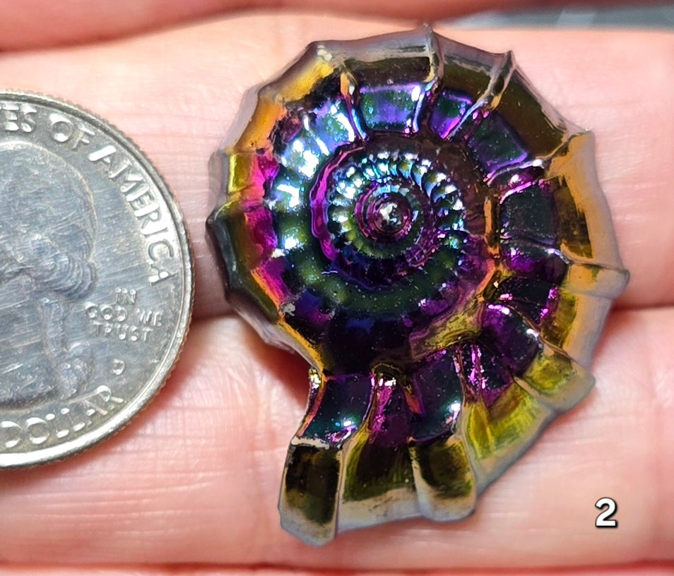 #2 Aura Coated Ammonite Fossil