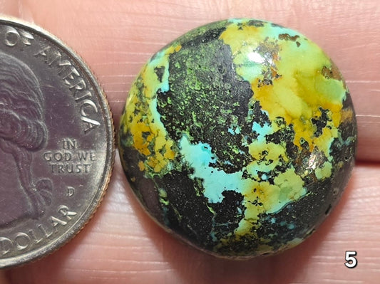#5 Tibetan Turquoise