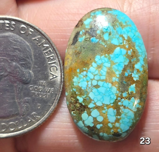 #23 Tibetan Turquoise