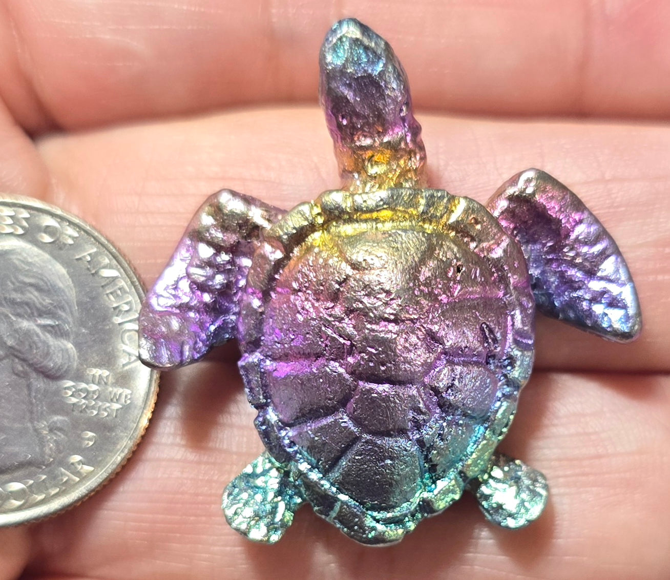 Bismuth Seaturtle